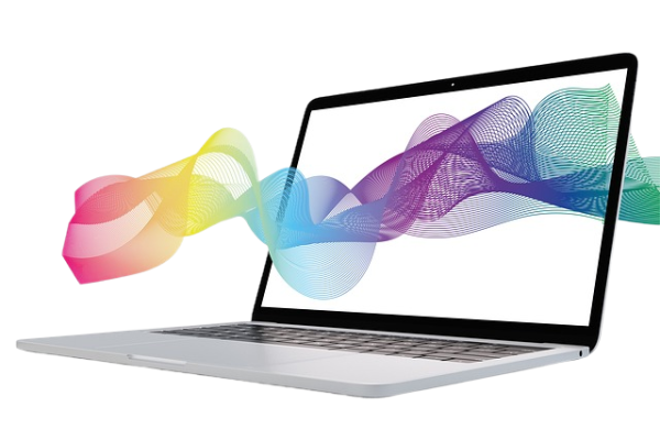 Website design and development